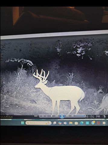 1105 Pendleton Branch Road, Salt Lick, KY 40371