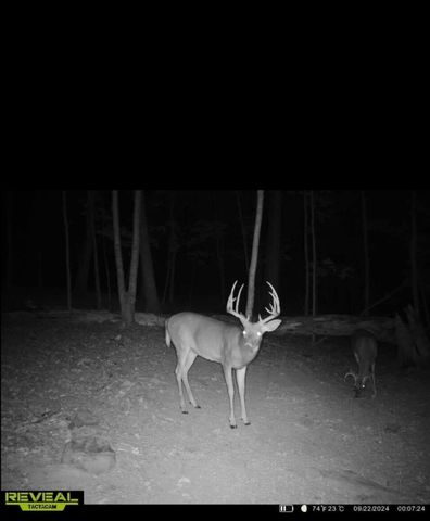 1105 Pendleton Branch Road, Salt Lick, KY 40371