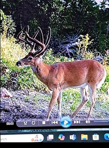 1105 Pendleton Branch Road, Salt Lick, KY 40371