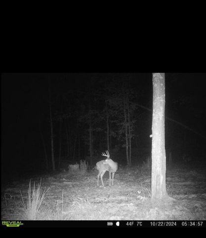 1105 Pendleton Branch Road, Salt Lick, KY 40371