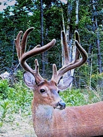 1105 Pendleton Branch Road, Salt Lick, KY 40371