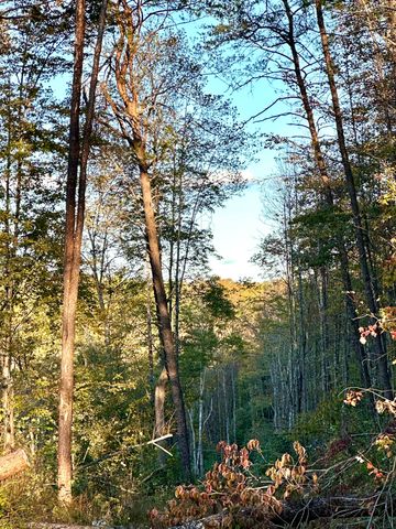 1105 Pendleton Branch Road, Salt Lick, KY 40371