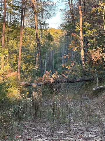 1105 Pendleton Branch Road, Salt Lick, KY 40371