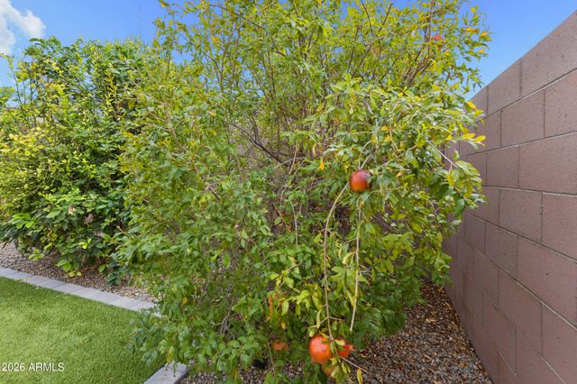 20415 E DOMINGO Road, Queen Creek, AZ 85142