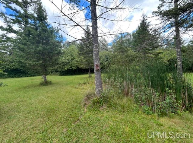 10645 N Main St Road, Rapid River, MI 49878