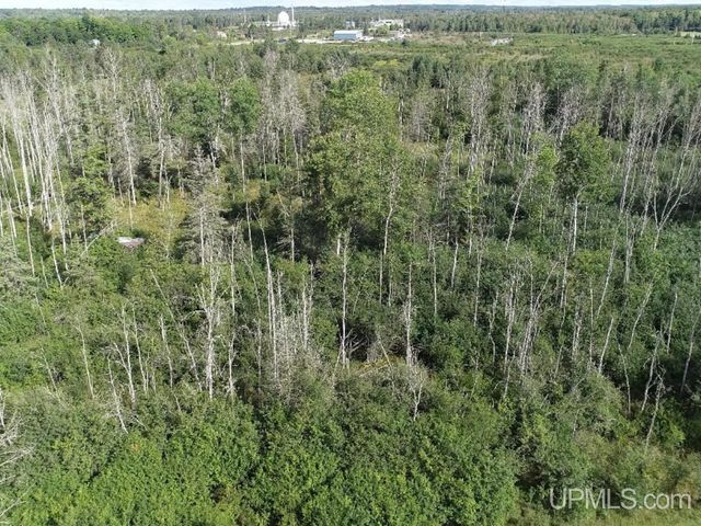 10645 N Main St Road, Rapid River, MI 49878