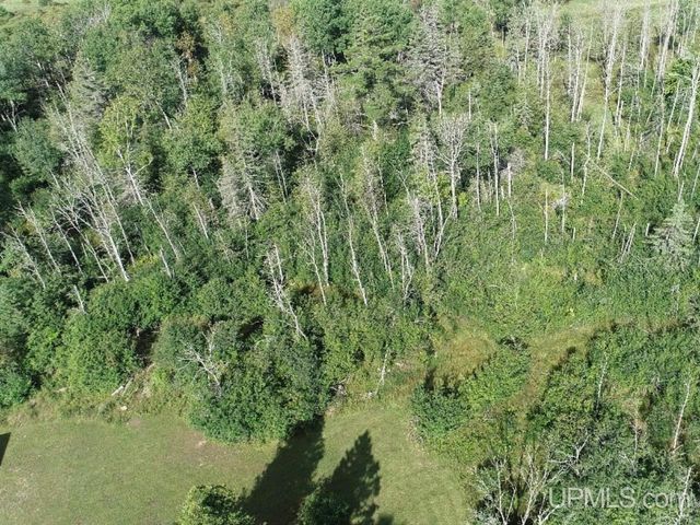 10645 N Main St Road, Rapid River, MI 49878