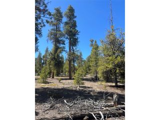 266 Ponderosa Dr, Leadville, CO 80461