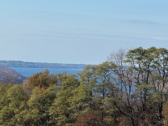 7477 State Route 41, Scott, NY 13077