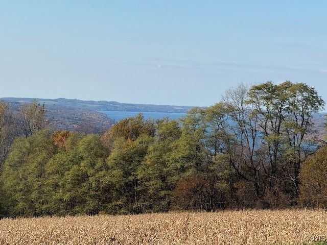 7477 State Route 41, Scott, NY 13077