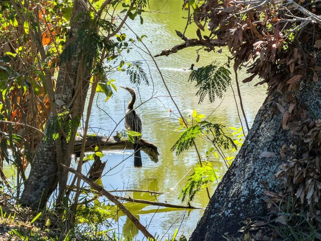 6121 58TH STREET N, St Petersburg, FL 33709