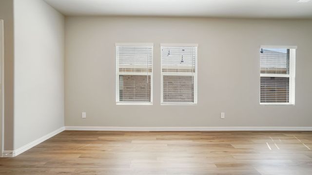 505 Dorothy Drive, Princeton, TX 75071