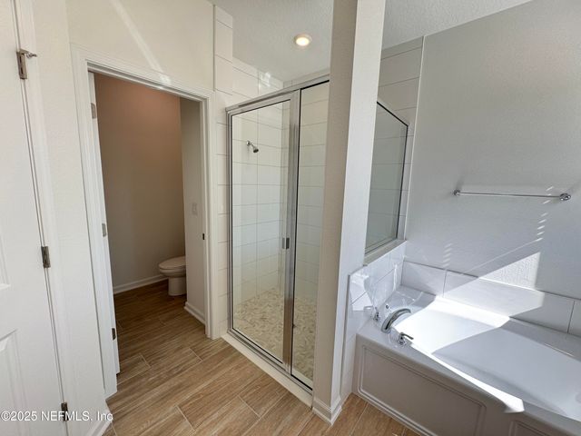 3207 SAFFRON Court, Green Cove Springs, FL 32043