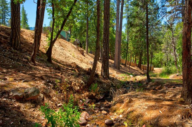 14334 Oregon Peak Rd, Dobbins, CA 95935