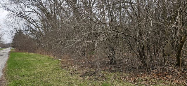 89 E 227th Place, Steger, IL 60475