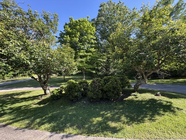 216 Patrick Dr, Dover, TN 37058