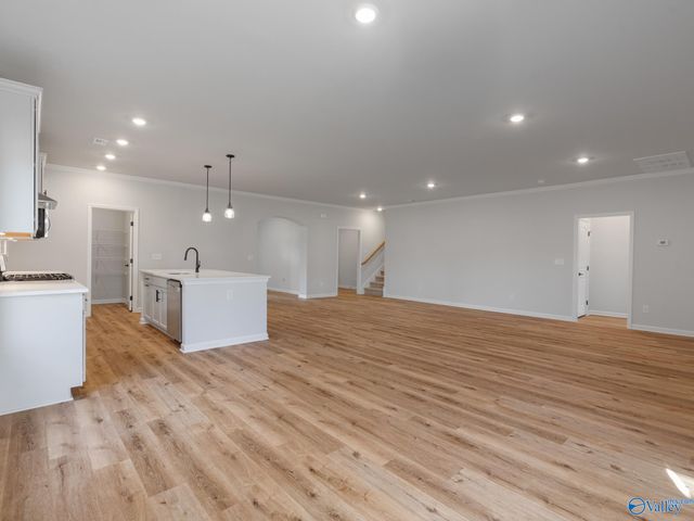 163 Virtue Way, Harvest, AL 35749