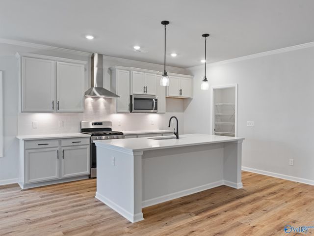 163 Virtue Way, Harvest, AL 35749