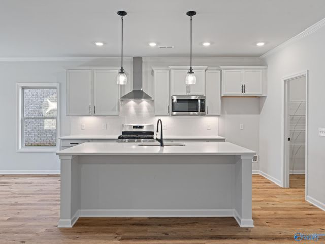 163 Virtue Way, Harvest, AL 35749