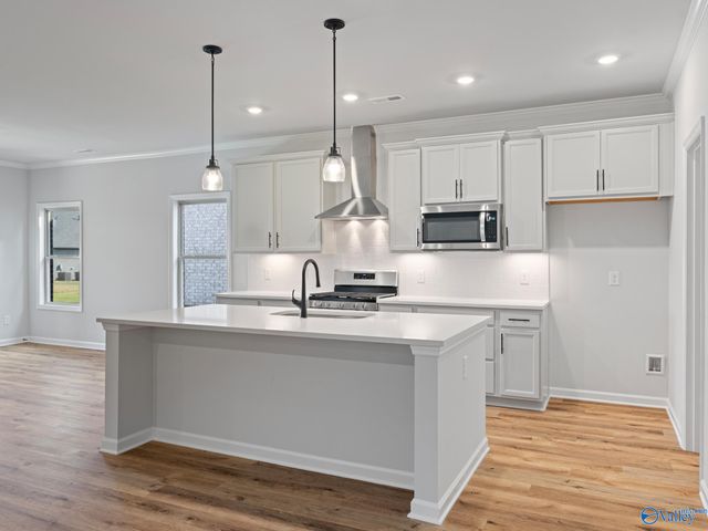 163 Virtue Way, Harvest, AL 35749