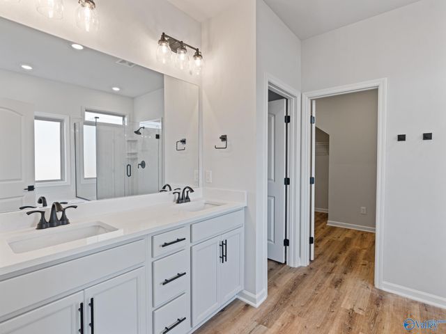 163 Virtue Way, Harvest, AL 35749