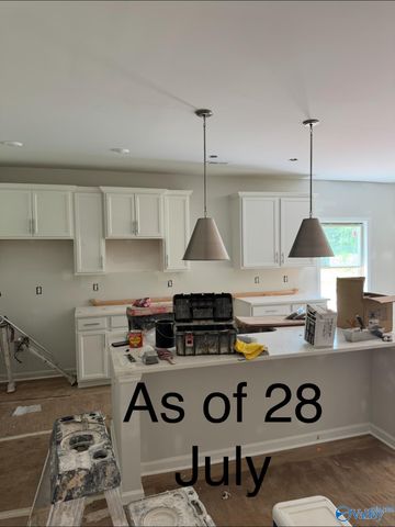 163 Virtue Way, Harvest, AL 35749