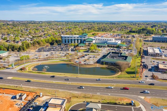 163 Virtue Way, Harvest, AL 35749