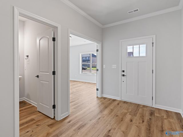 163 Virtue Way, Harvest, AL 35749