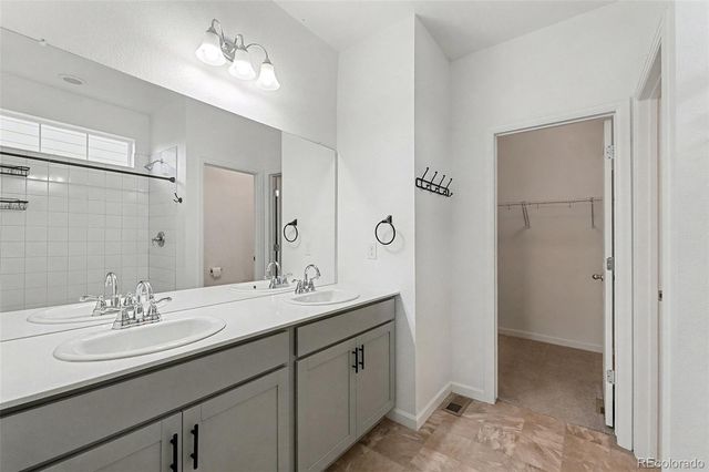 1764 Branching Canopy Drive, Windsor, CO 80550