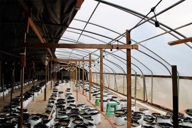 17754 Uncle Bill Lane, Norman, OK 73026