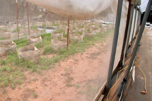 17754 Uncle Bill Lane, Norman, OK 73026