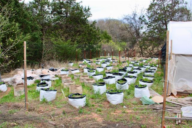 17754 Uncle Bill Lane, Norman, OK 73026