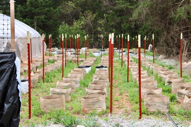 17754 Uncle Bill Lane, Norman, OK 73026