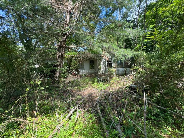 9108 Hwy 20, Summertown, TN 38483
