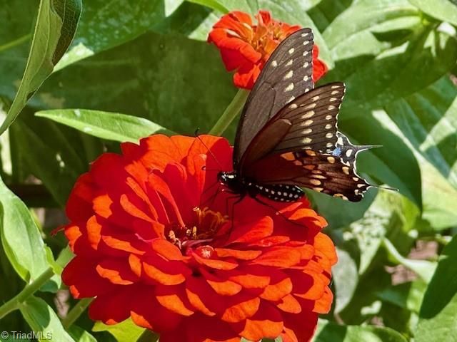 1124 Hudson Drive, Mebane, NC 27302