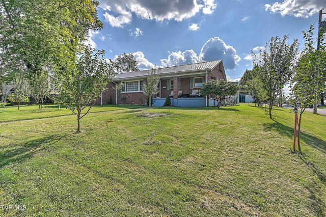 454 Douglas Street, Bristol, VA 24201