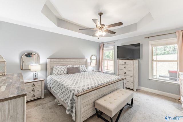 29917 Park Hill Drive, Madison, AL 35757