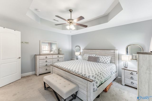 29917 Park Hill Drive, Madison, AL 35757