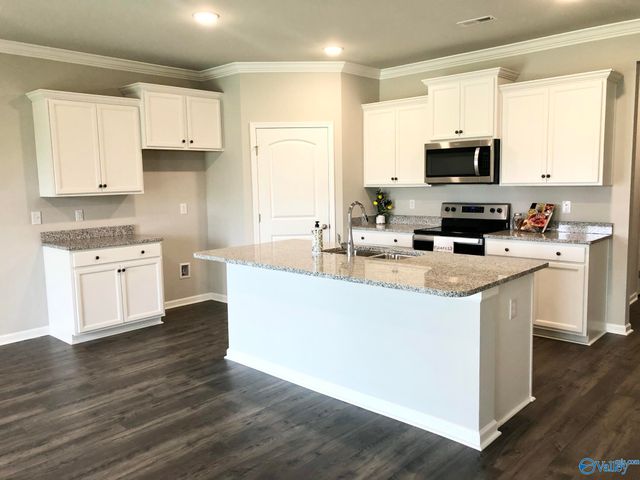 284 Caudle Drive, Madison, AL 35756