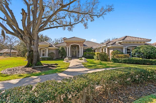 9916 MENANDER WOOD COURT, Odessa, FL 33556