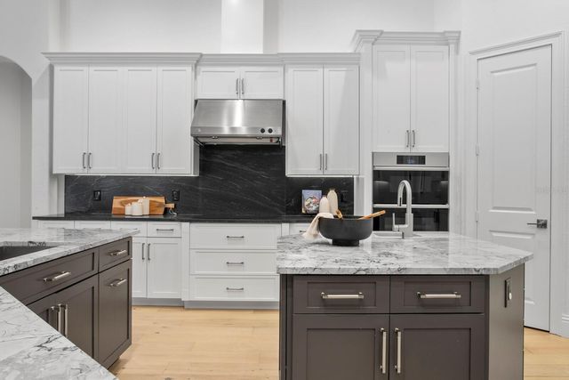 9916 MENANDER WOOD COURT, Odessa, FL 33556