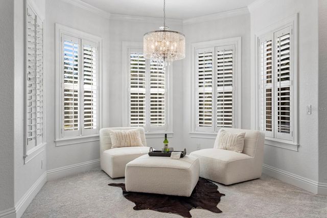 9916 MENANDER WOOD COURT, Odessa, FL 33556