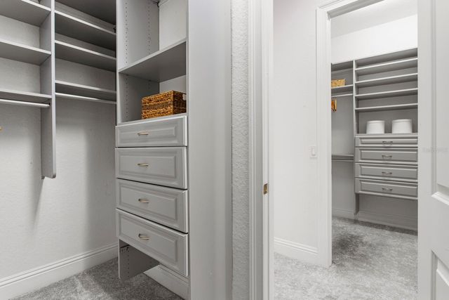 9916 MENANDER WOOD COURT, Odessa, FL 33556