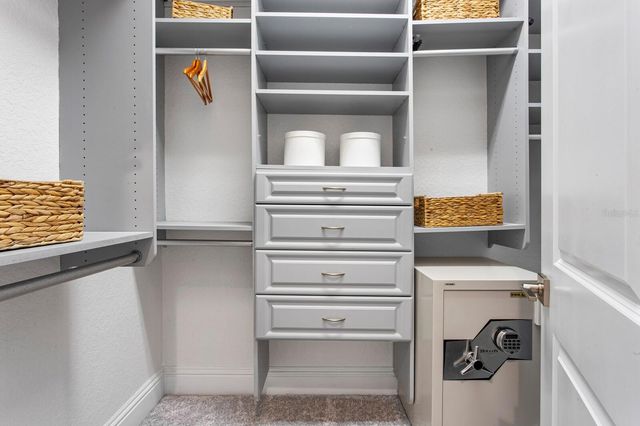 9916 MENANDER WOOD COURT, Odessa, FL 33556