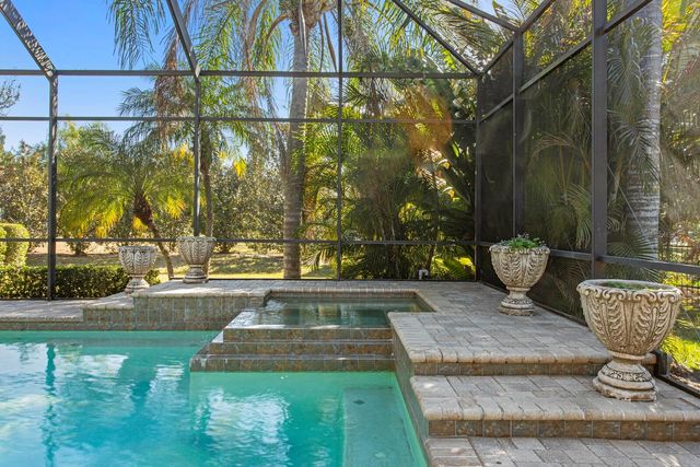 9916 MENANDER WOOD COURT, Odessa, FL 33556