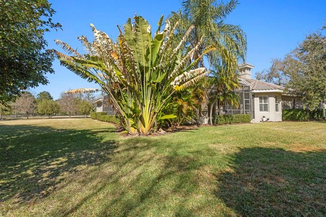 9916 MENANDER WOOD COURT, Odessa, FL 33556