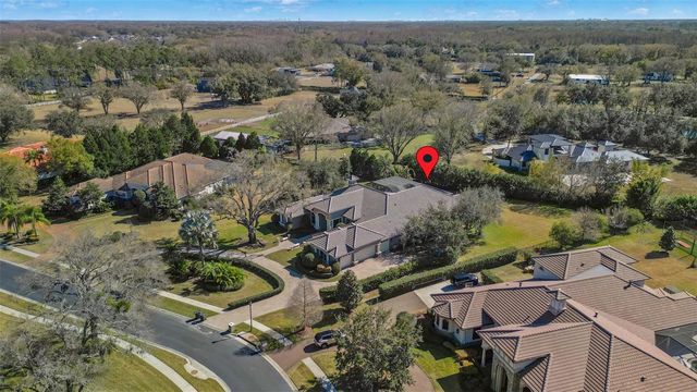 9916 MENANDER WOOD COURT, Odessa, FL 33556
