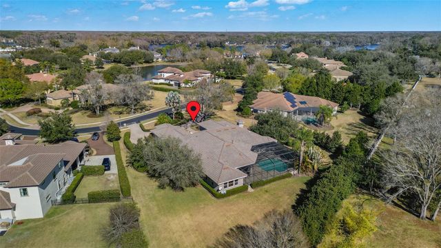 9916 MENANDER WOOD COURT, Odessa, FL 33556