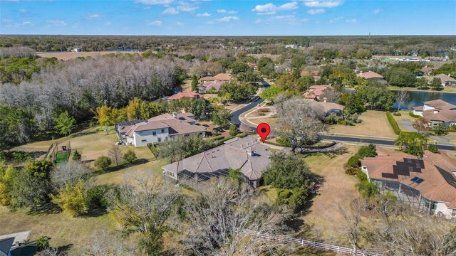 9916 MENANDER WOOD COURT, Odessa, FL 33556