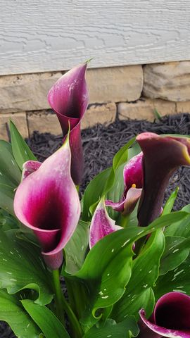 2531 HERMITAGE RD, Waynesboro, VA 22980